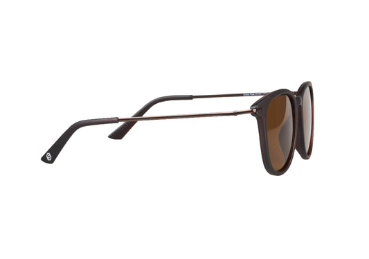 Gafas Wolf WS Brown