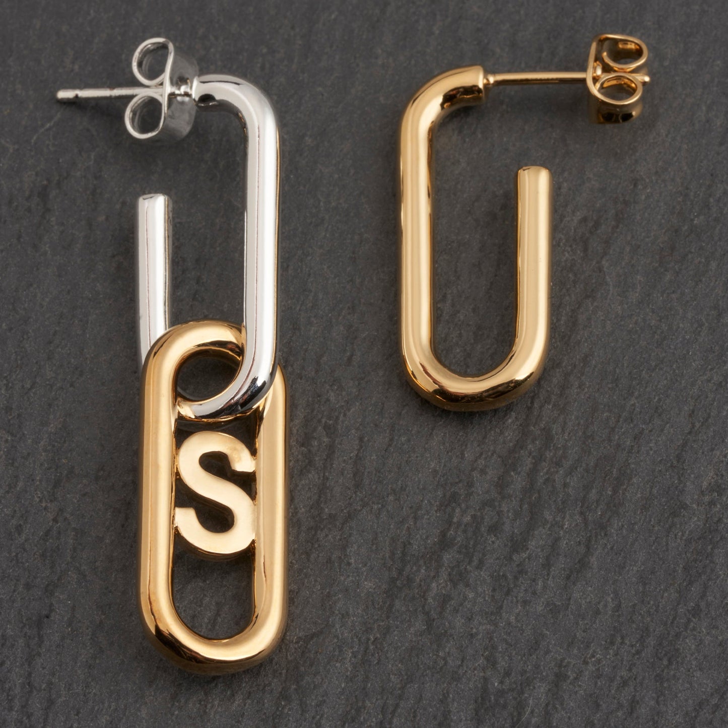 Bicolor AG3 Earring