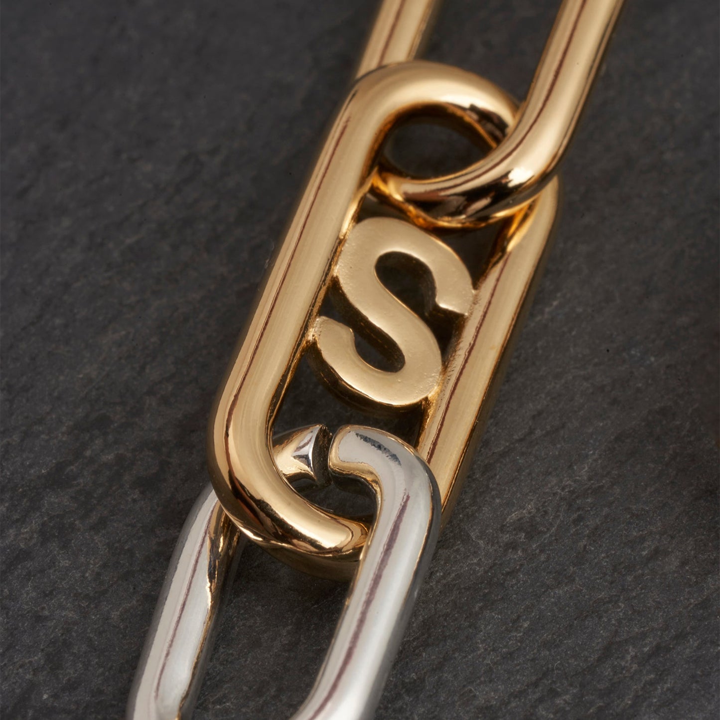 Bicolor AG5 Earring