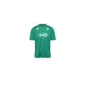 Camiseta de Entrenamiento de Jugadores Verde