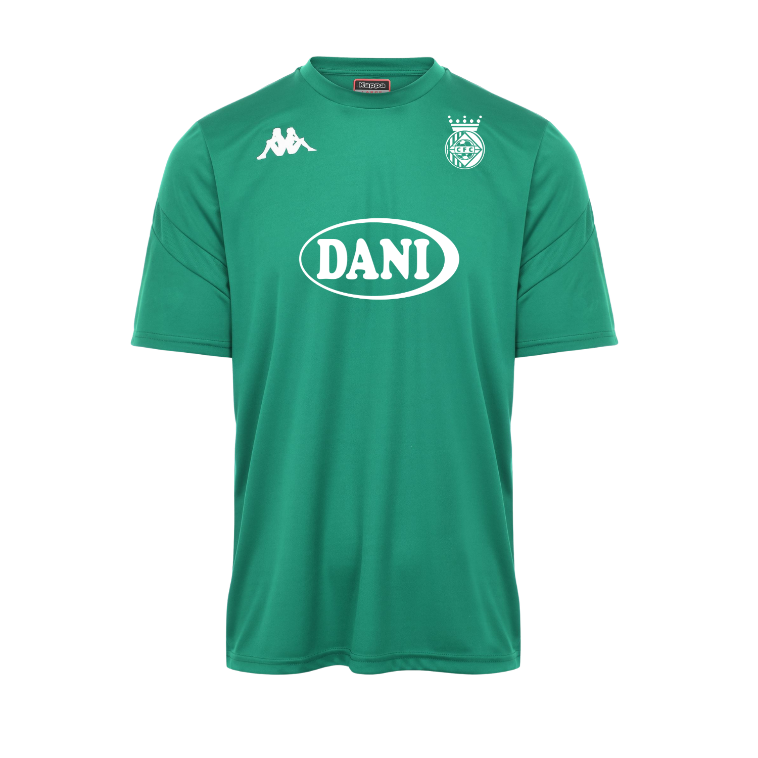 Camiseta de Entrenamiento de Jugadores Verde