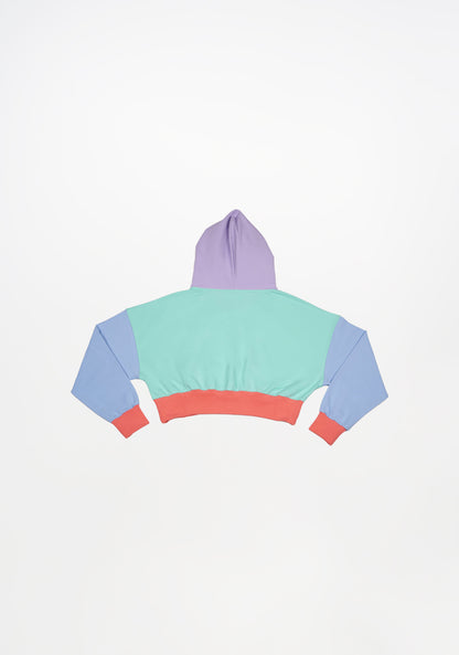 BeHappy Multicolor Hooded Sweatshirt
