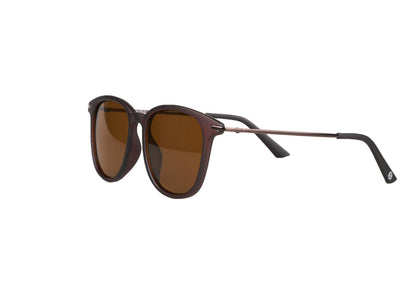 Wolf WS Brown Glasses