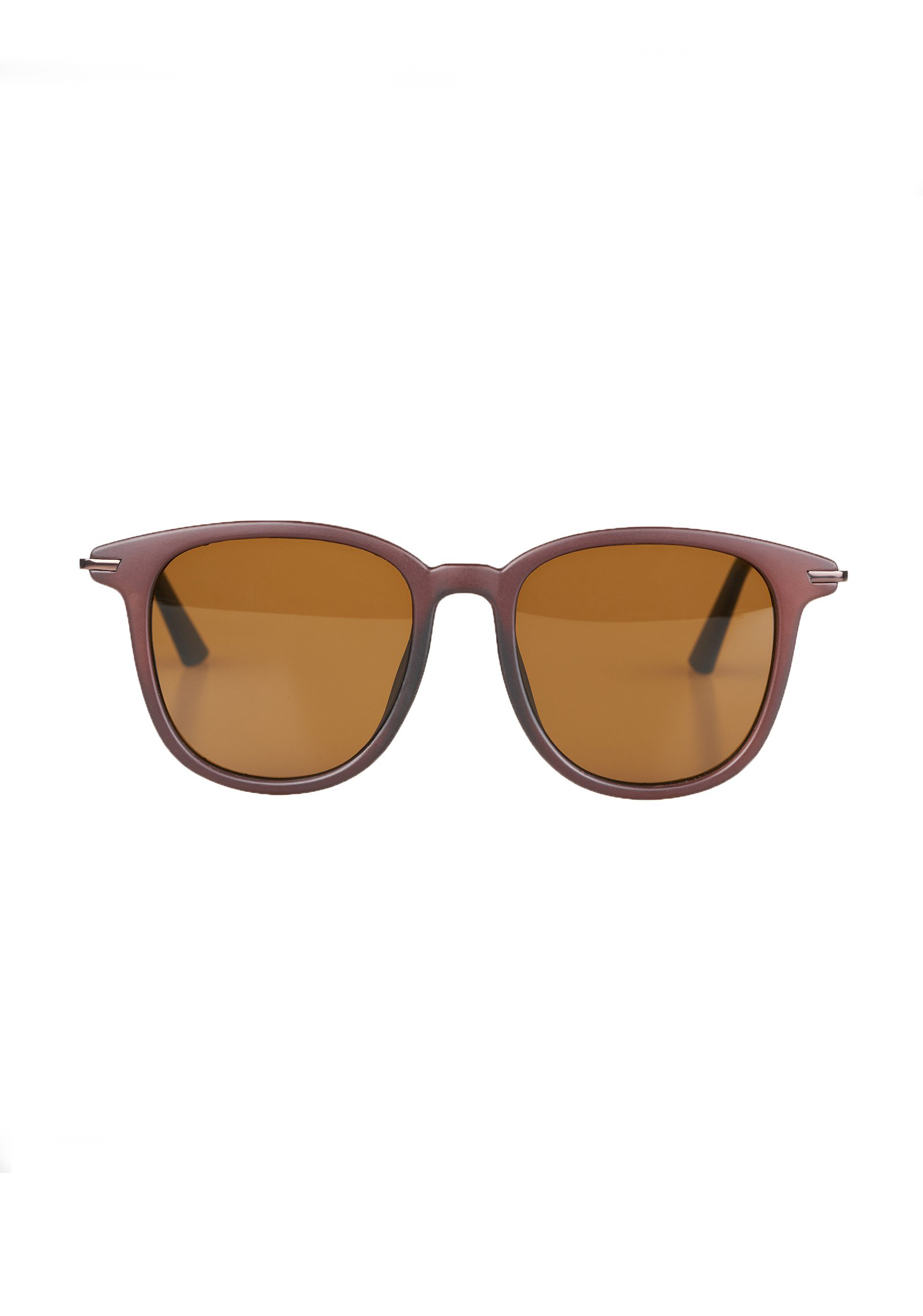 Wolf WS Brown Glasses
